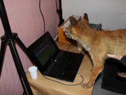 2012_01_07_Soiree_Depart